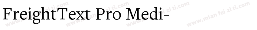 FreightText Pro Medi字体转换